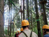 Kletterwald am Grntensee